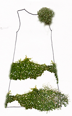 Initial shift dress idea with Mexican Flea Bane