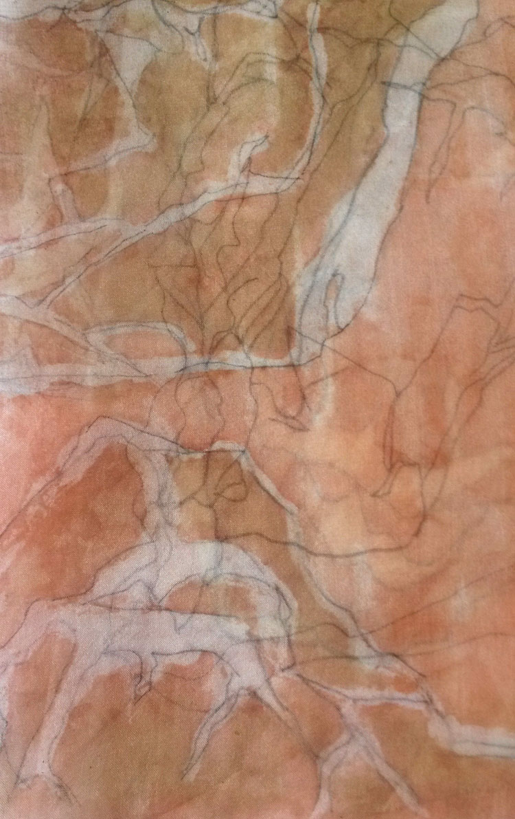 Painted silk organza using madder and iron.