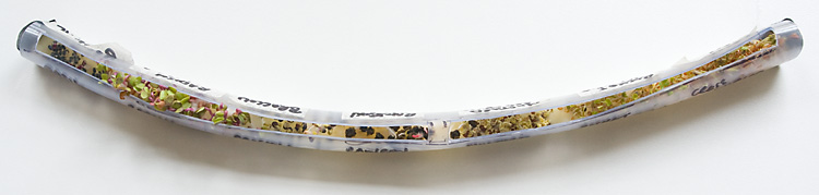 150729 Shiftworks_0058_edited-1_750pxw