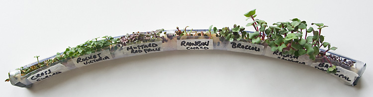 150729 Shiftworks_0089_edited-1_750pxw