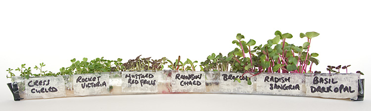 1508 shiftWorks_0093_edited-1_750pxw