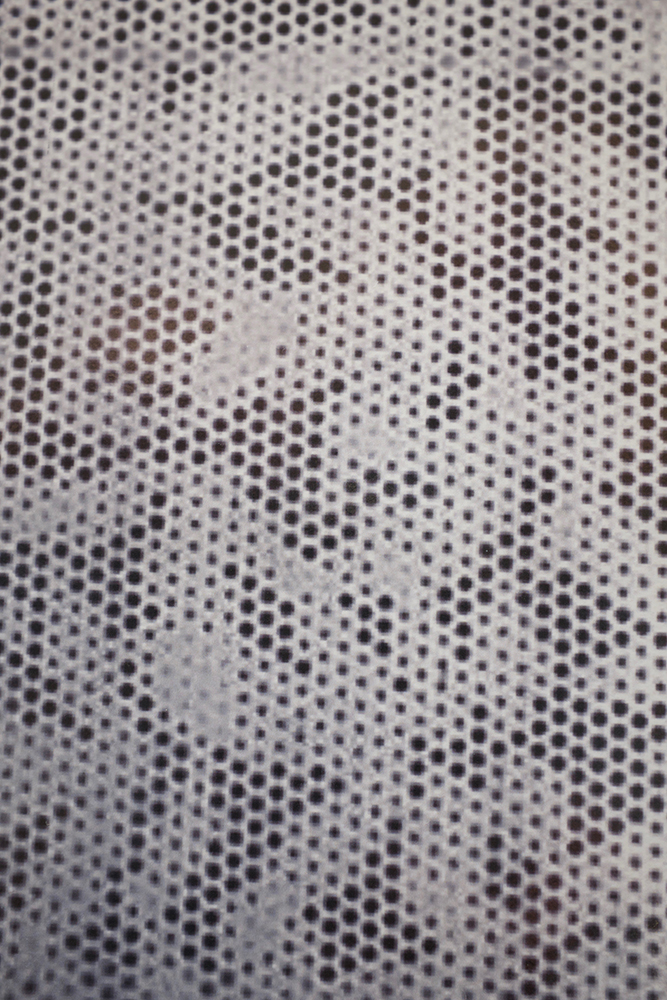 Photograph Gill Hewitt