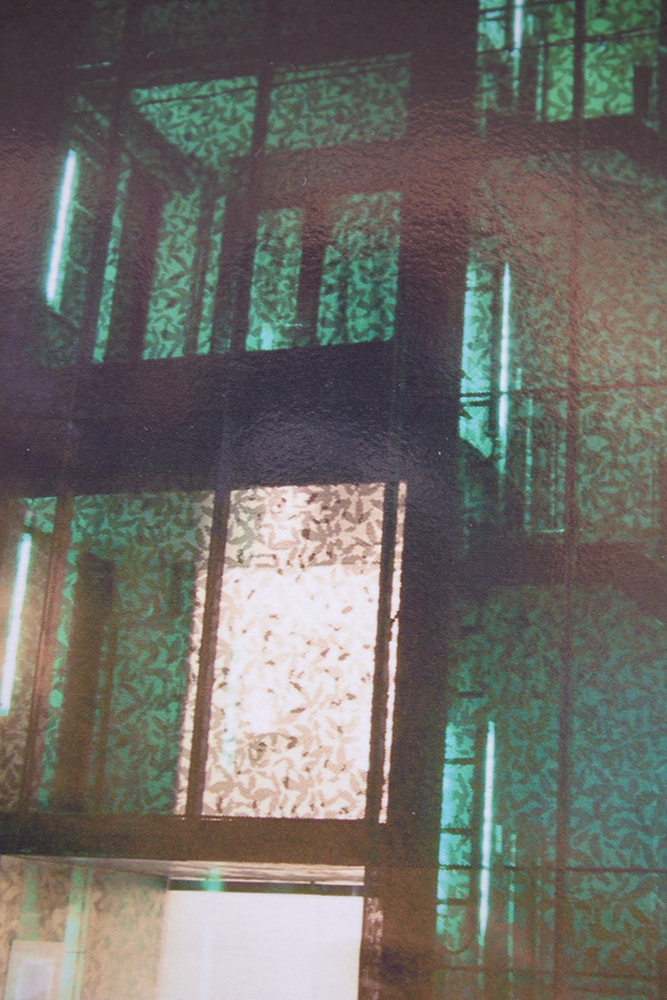 Leaf shadows at night. Photograph by Gill Hewitt