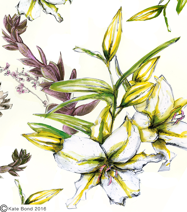 Cressida lily katebond