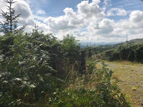 landscape.katebond.seam